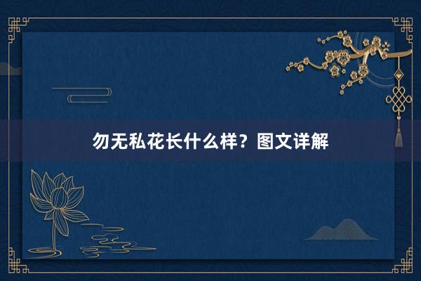 勿无私花长什么样？图文详解